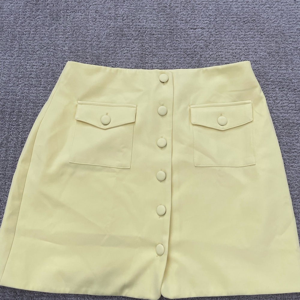 Song of style skirt